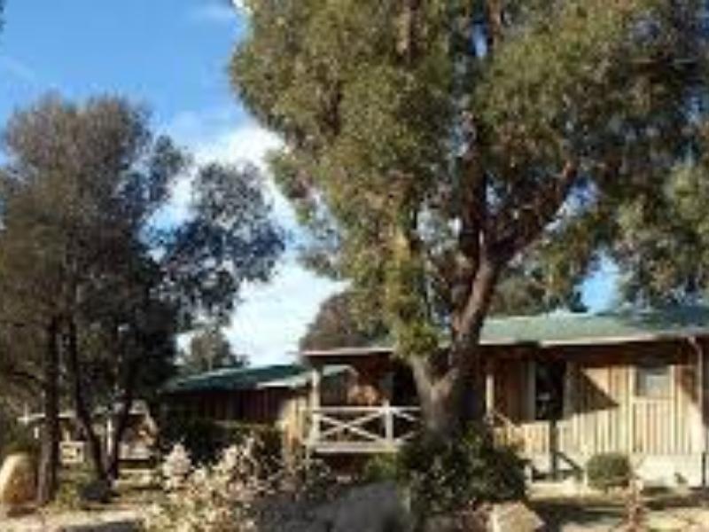 Big4 Iluka On Freycinet Hotel Coles Bay Buitenkant foto